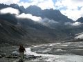 Alpine Just below the Haut Glacier d'Arolla