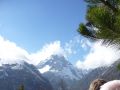 Alpine pastures and walking at altitude in the Vallouise valley